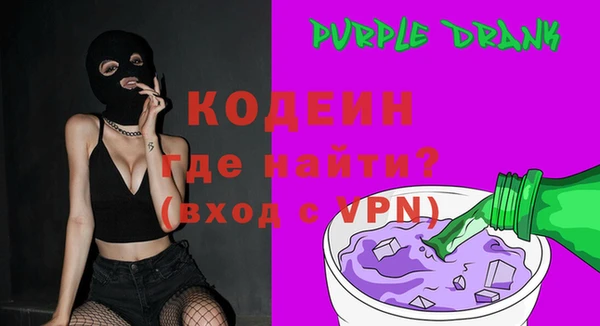 гашик Козловка