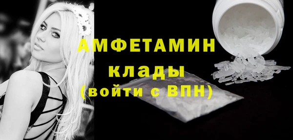 гашик Козловка