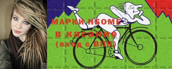 гашик Козловка