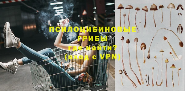 гашик Козловка