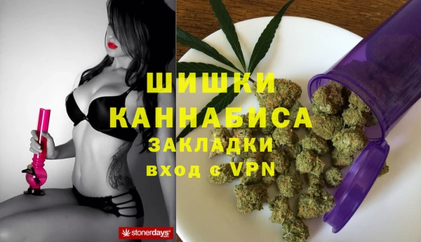 ГАЛЛЮЦИНОГЕННЫЕ ГРИБЫ Корсаков