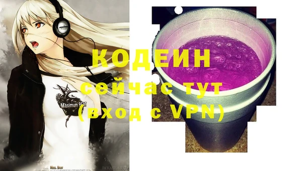 мдпв Кодинск